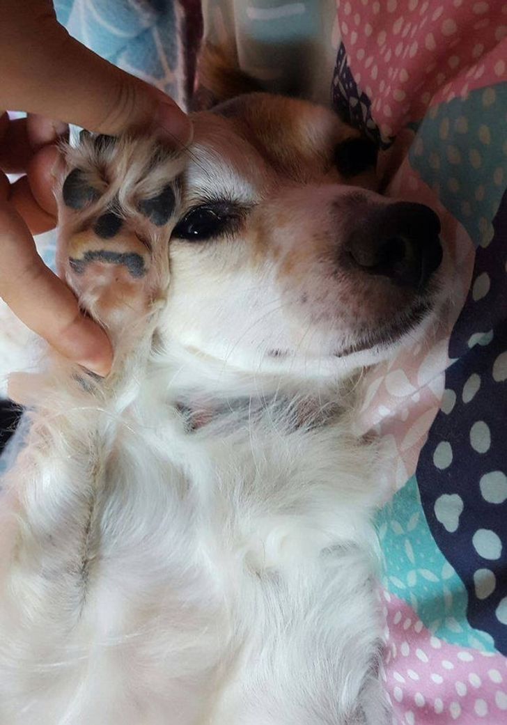 df1fee53639e20b0877d582c46