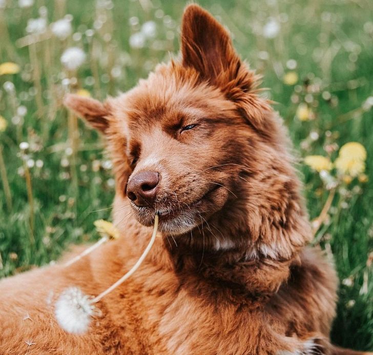 df21fa5e339fa6f37bdce9f086