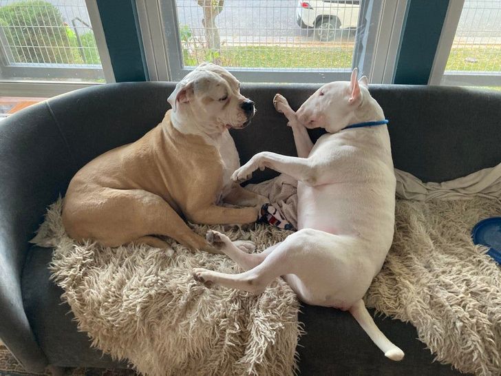 df251451c59f48dea43901939e