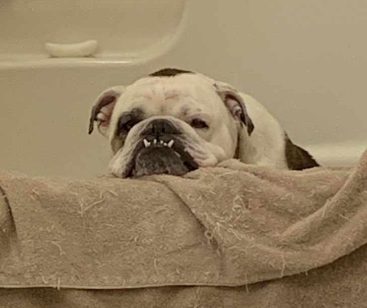 df266a535c8fbf573cff5c0b44