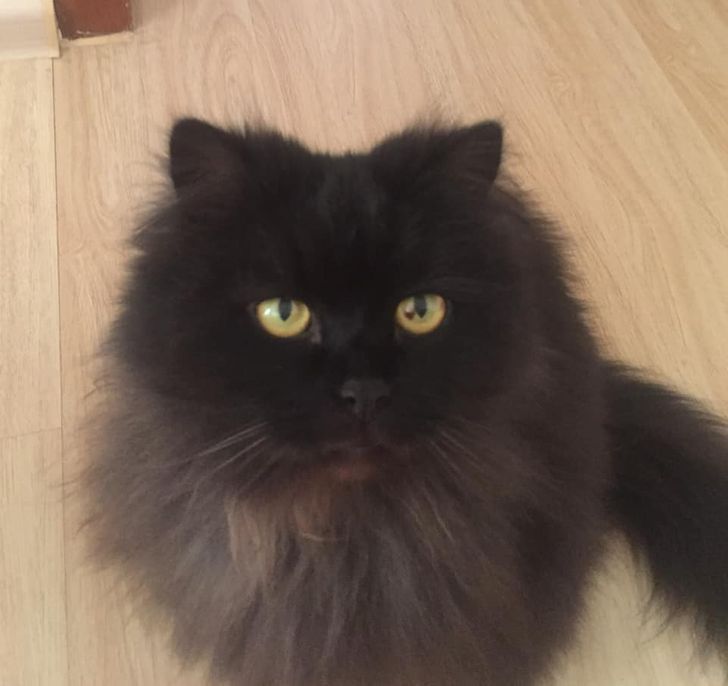 df28b55e1584ba458769509d82