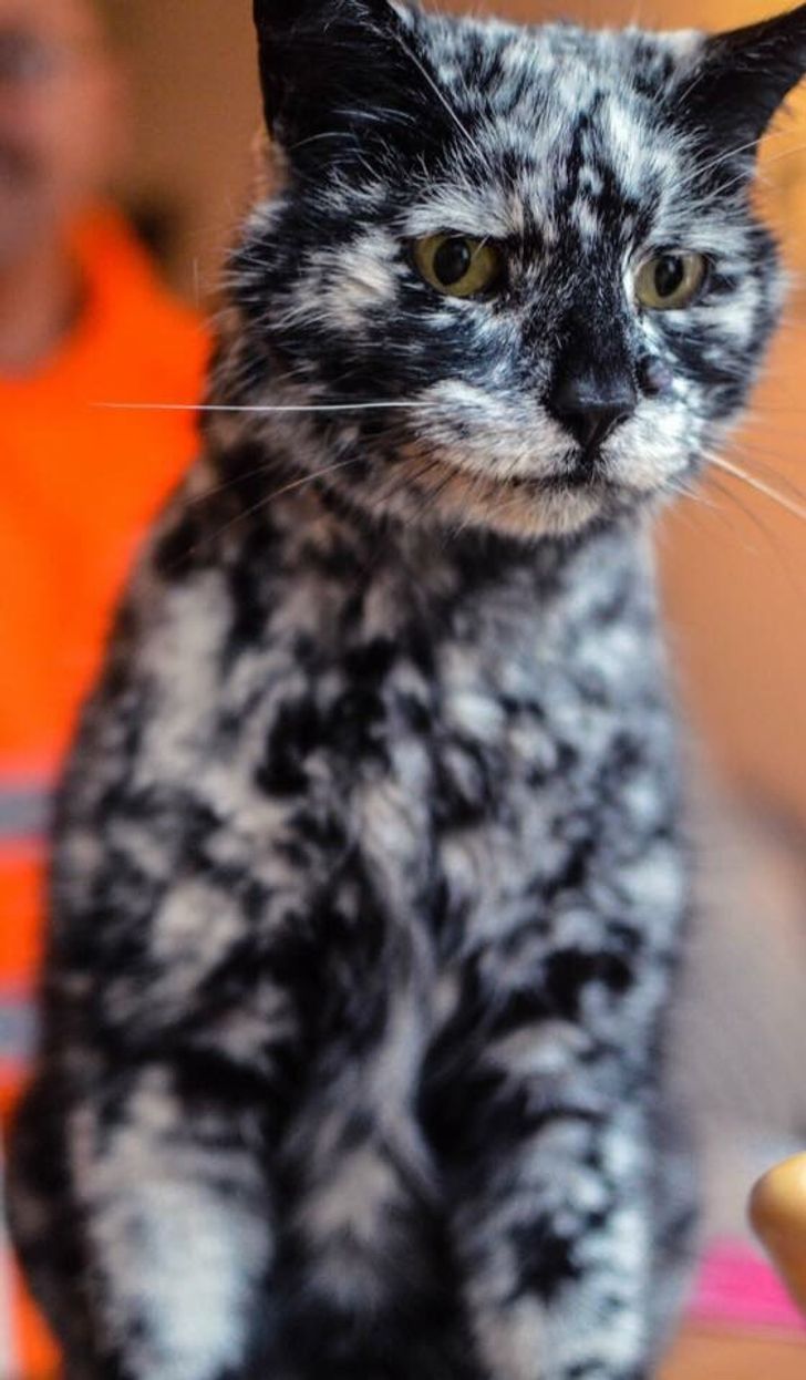 df290f5fee8f1e19579bd9e627