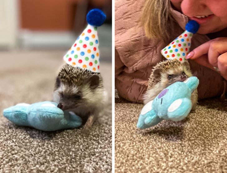 df29d6548d9bbf6c5ccbab759d