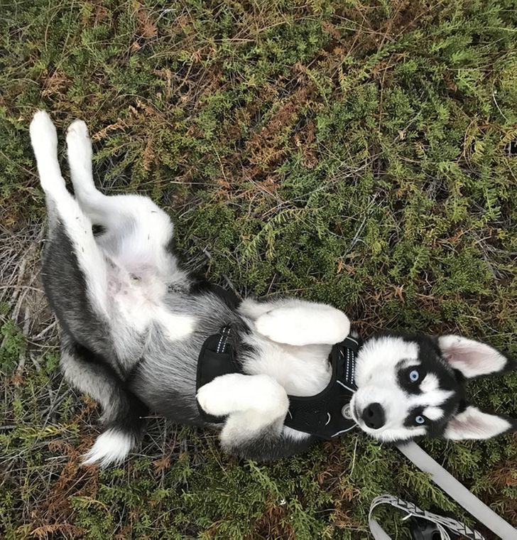 df38435db4b5894ef20103740b df38435db4b5894ef20103740b