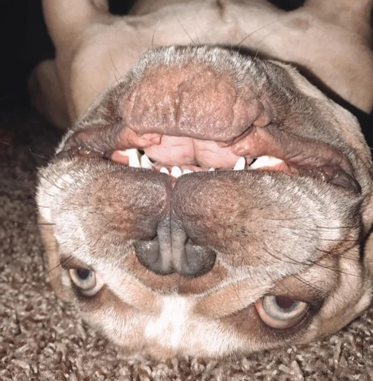 df38725b03b5b5d246ccc243fc