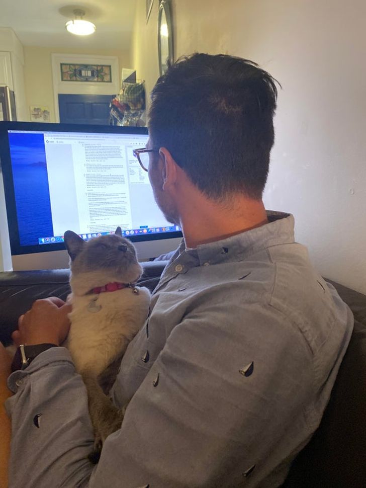 df3a21589893099e5f14a17b72