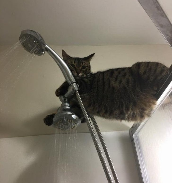 df3c1d52c186d024eebaba0ce1