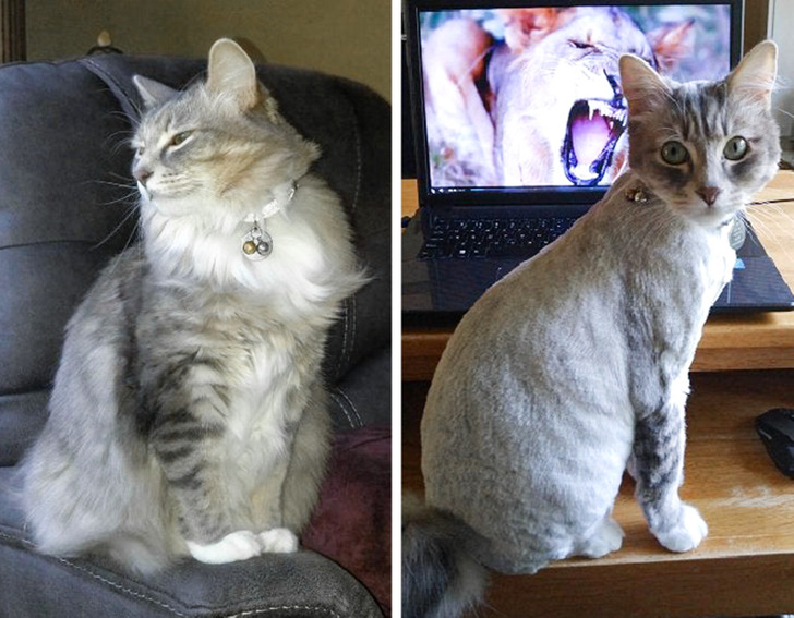 df3d2a59ba81b989929c5aa5be