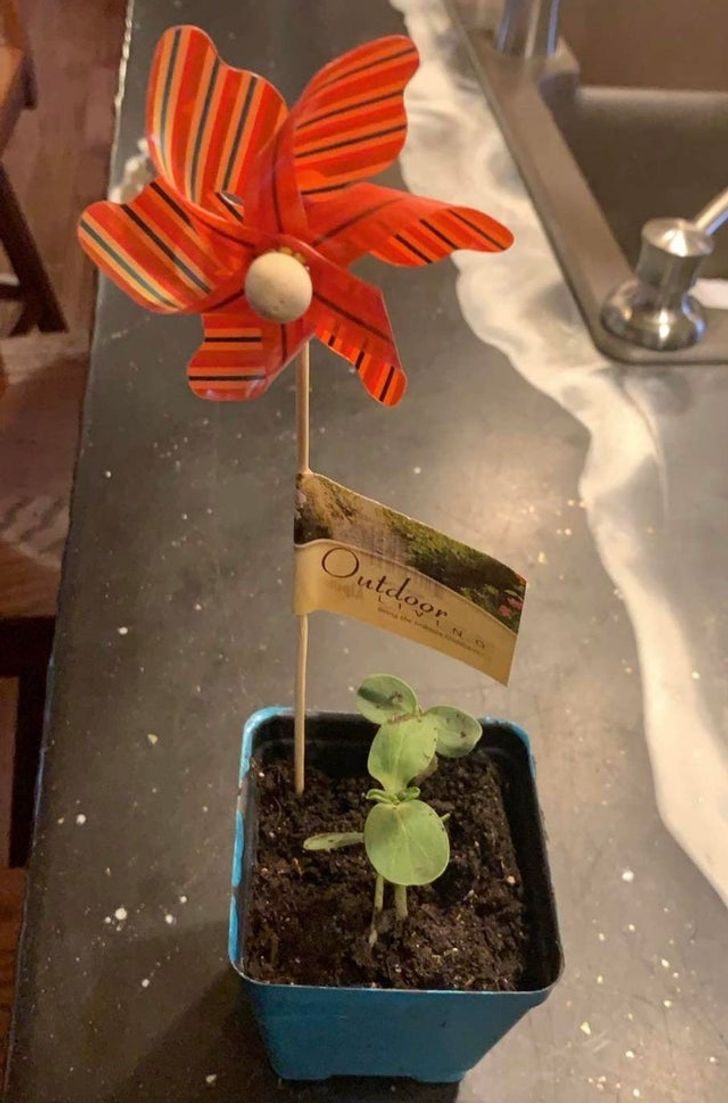 df40c75265a30928dbabc1508e