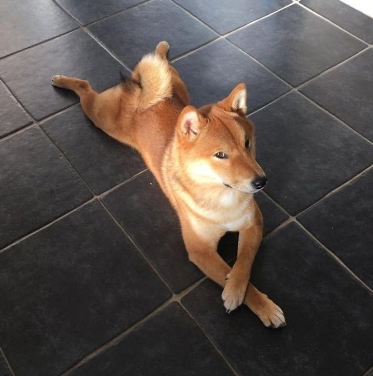 df46fa5ec7be5f3056dccb2336