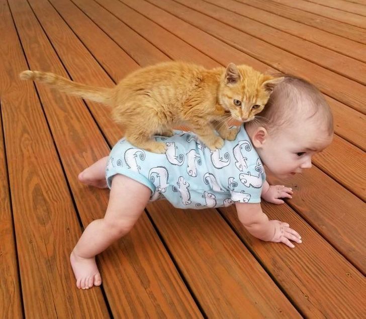 df4a6b5b9789527b3602a288ba