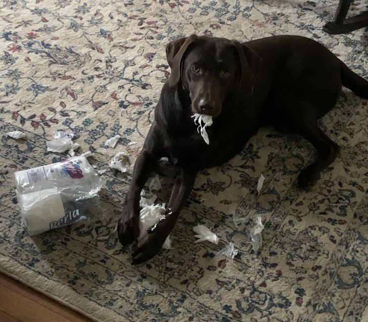 df4c36535c9219566b05d79f7e