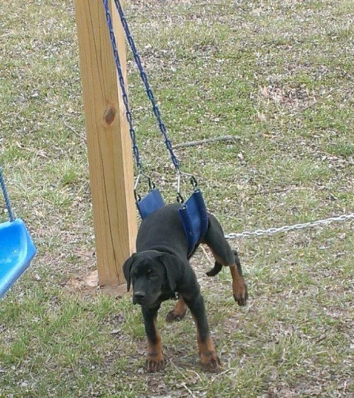 df4d7d540fae21f6c394cc253d