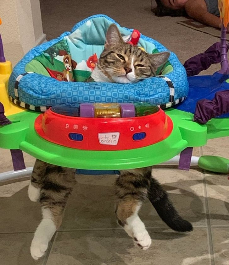 df4d875b09a6a93a4f141b6c9b