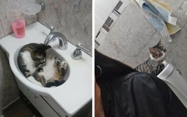 df50af5ff18d2e2cfa2316f547