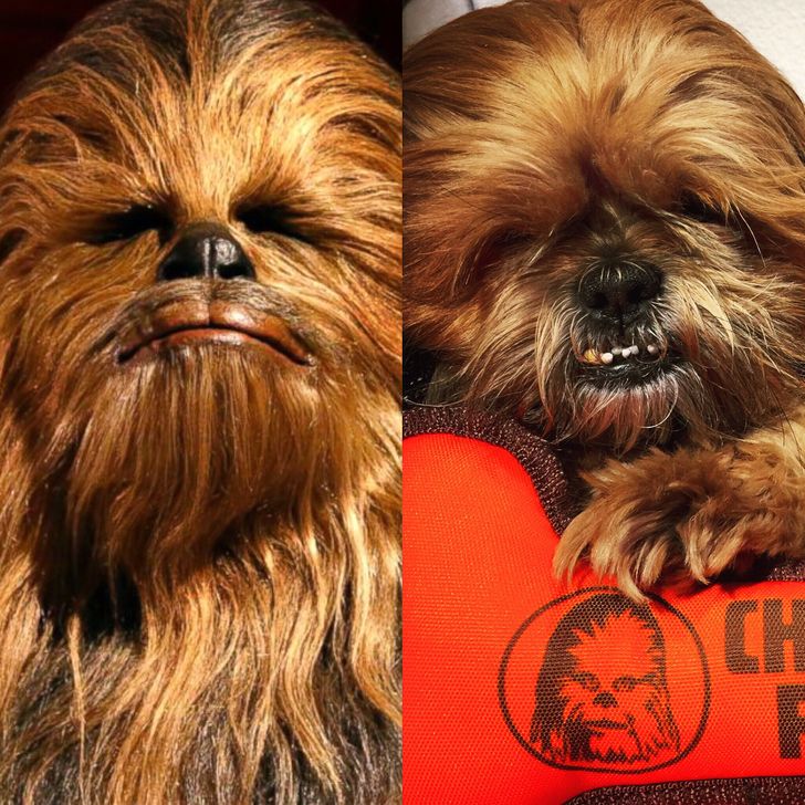 df513a5bf2b4c948195fc64544