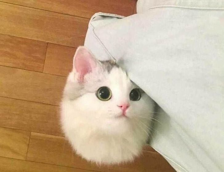 df59f2510389d316d1504947e6 df59f2510389d316d1504947e6