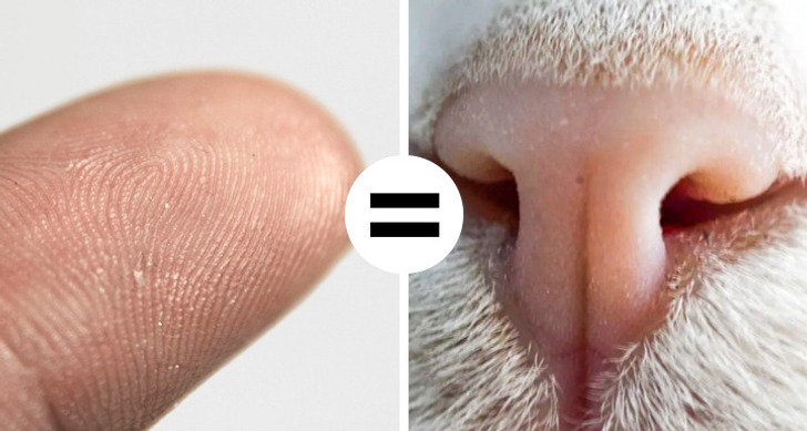 df5ceb5ee089deb0155c72998b