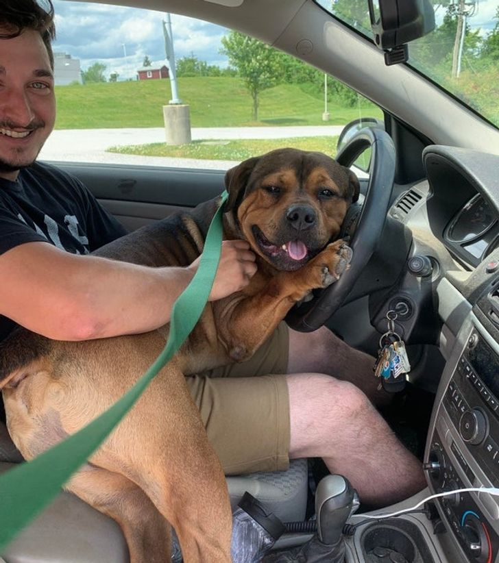 df603f5033abbe382eb1c2c101