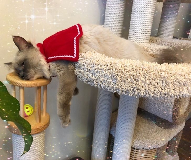 df6c6a5e72909f960f1fd7829d