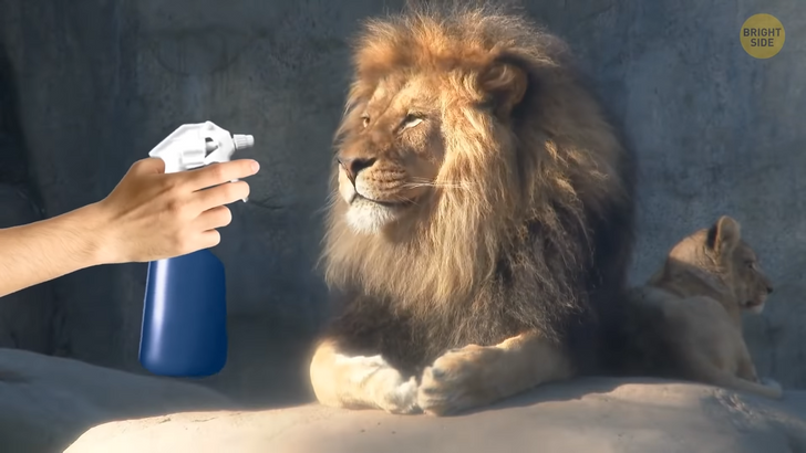 df70d6549882e1ca80c80794f1