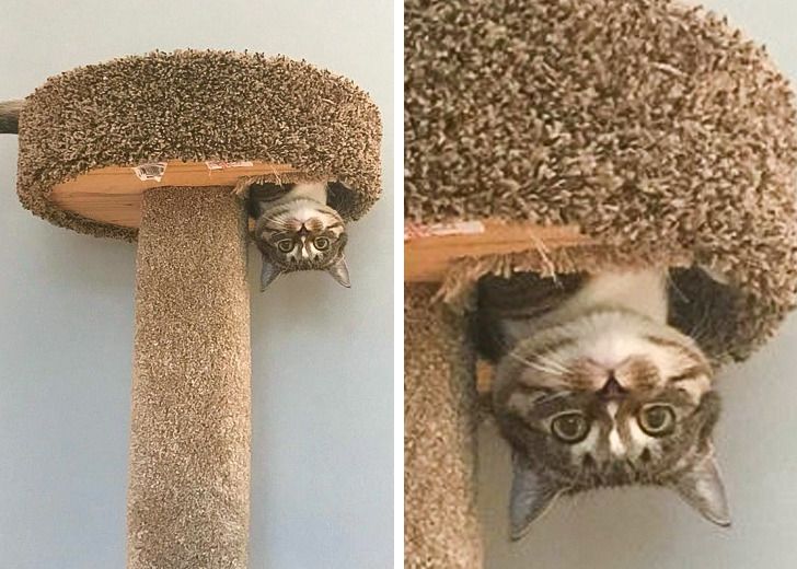 df75af5e9b82b915129cefa95d