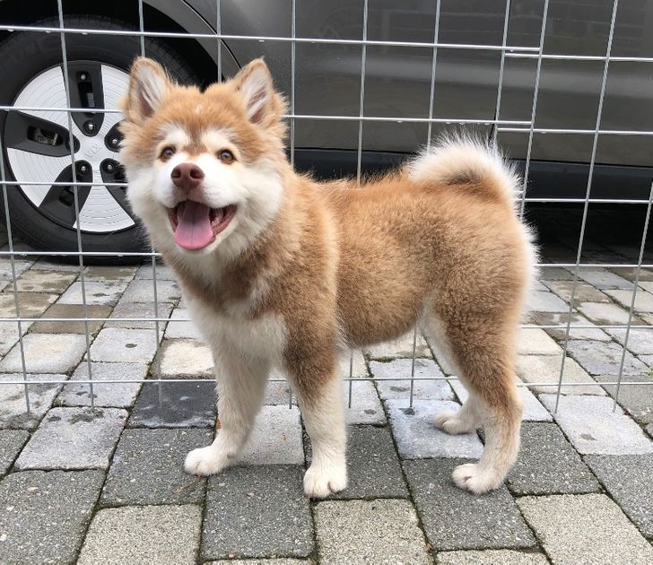 df75c256699045e728da9b673c