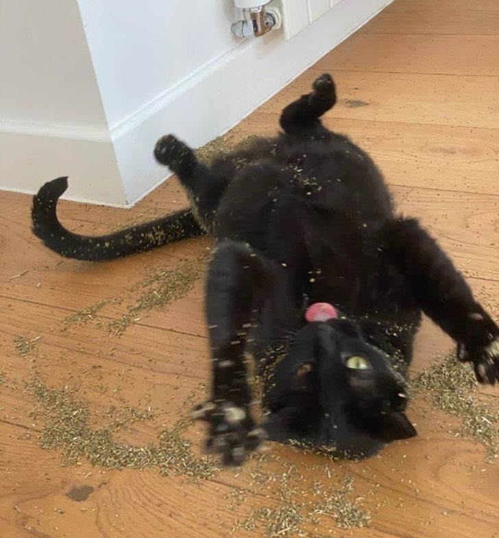 df7c325e22adb9a7b29d57a29c