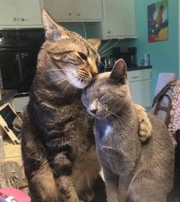 df7fcb59449db2c5af23585c8f