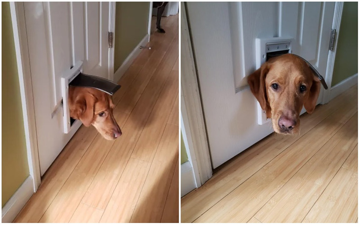 df80ed575084f52c9cf764dc2c