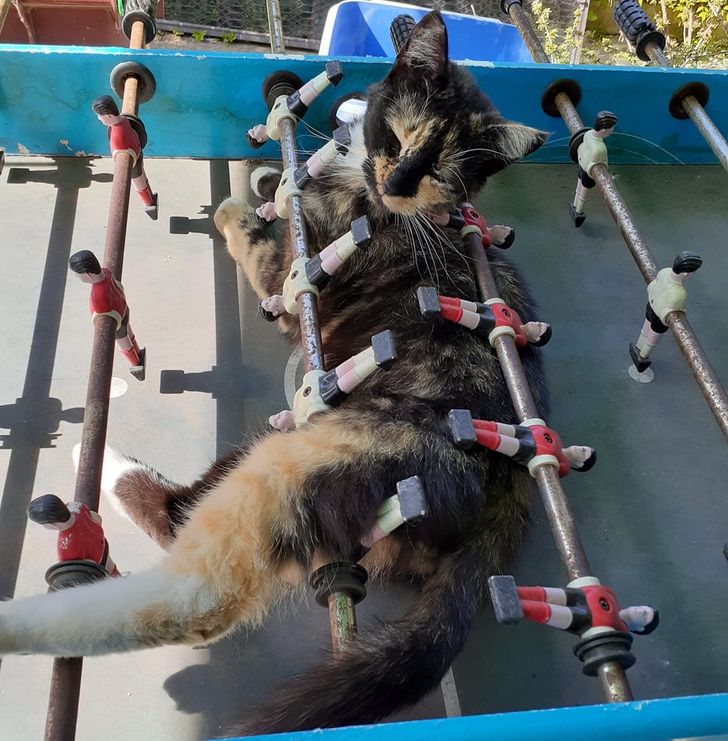 df8363570292ea6d106aceee99