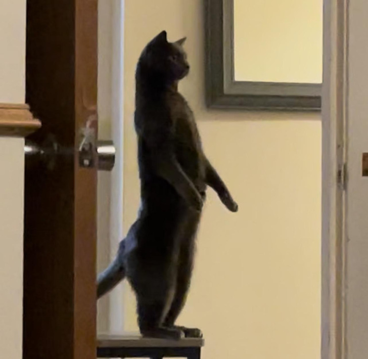 df8ba257c18b7013f02fd90b37