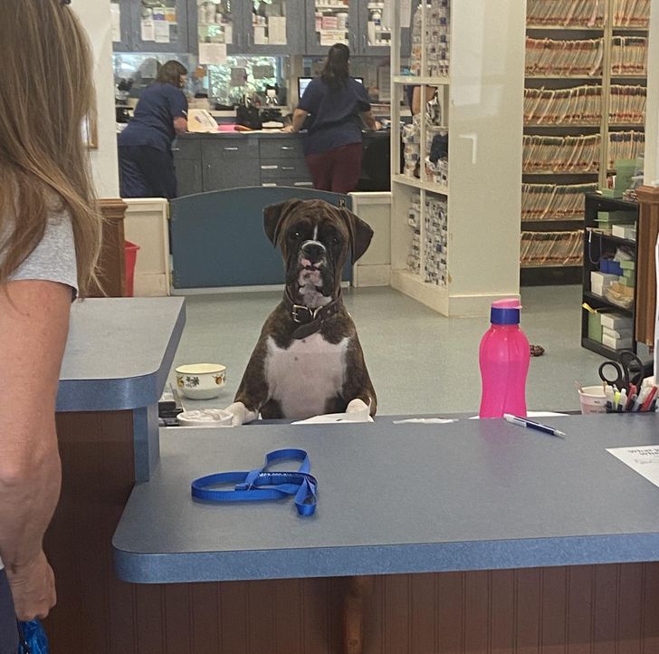 df8d735754bfe1ad1ca005783a