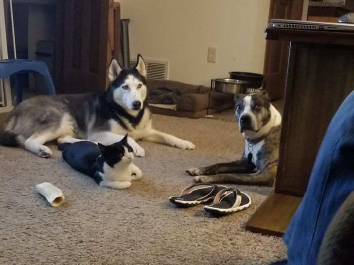 df96365f87b8fd0925b7ea2ba4 df96365f87b8fd0925b7ea2ba4