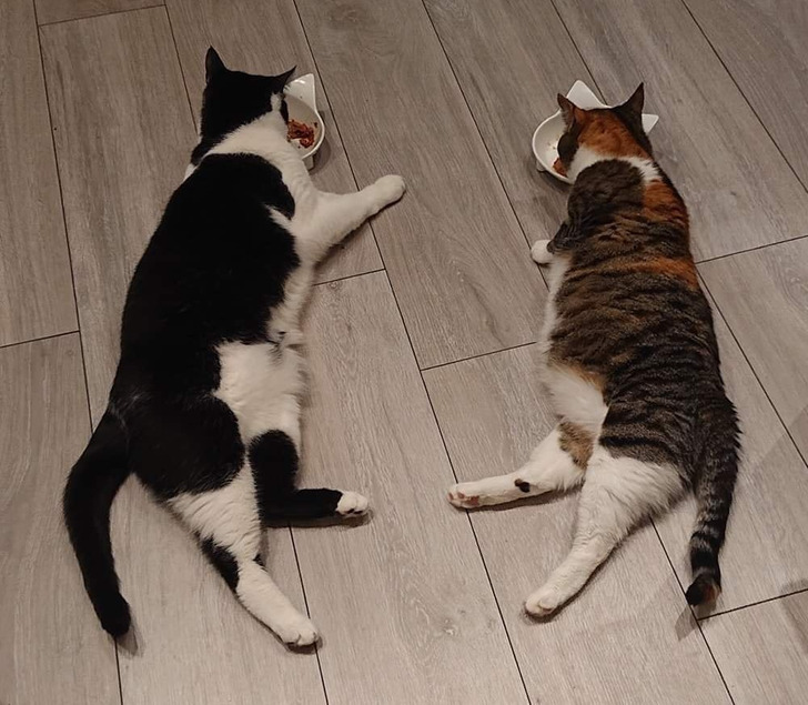 df99b35280906bcb22e6684219