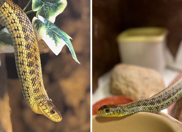 dfa89e5bc2b13699be92c81c8a