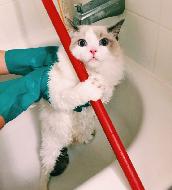 dfa9a95f2b8ec742e844386ec0