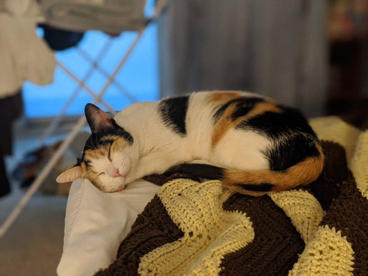 dfb1555a3f8affb8fd35920b9b