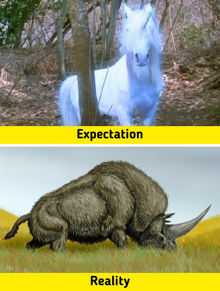 dfb4445dfabb12a4b1244fdfc1