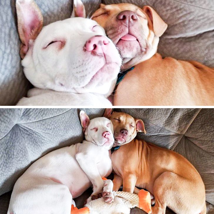 dfb8c85bee9e5b637d8c4bae0b