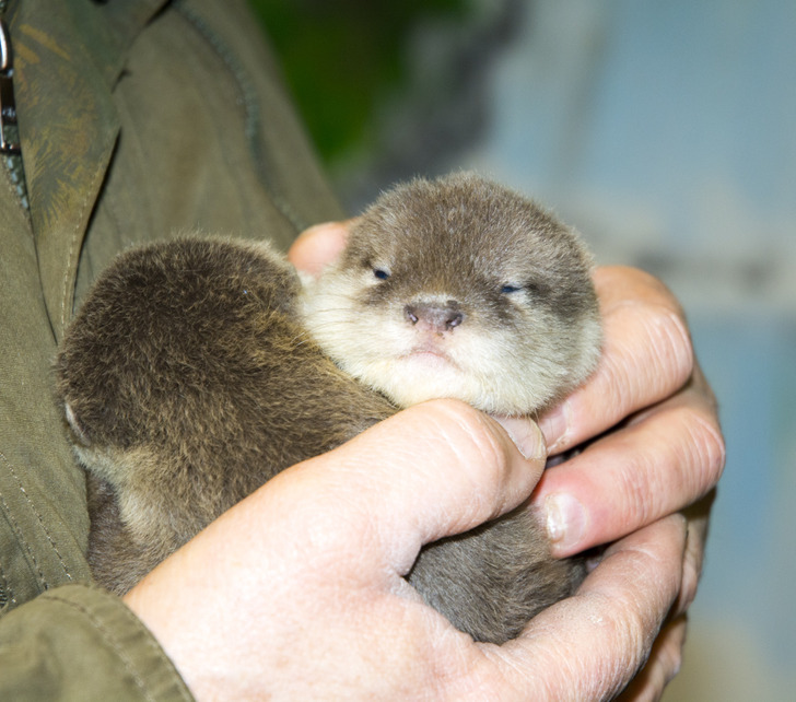 dfbb465266a15e49d2e03e5a05