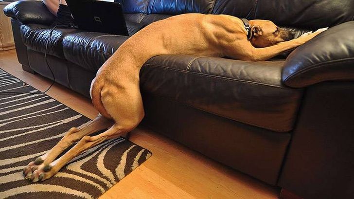 dfbebf58ab940e52716c6b90a3