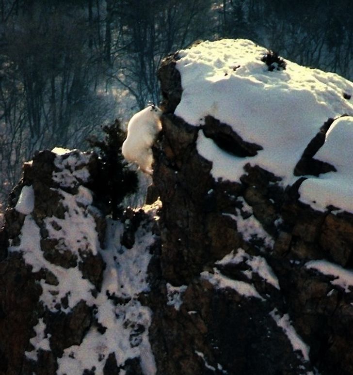 dfc6d1594d906d37376c589ad9