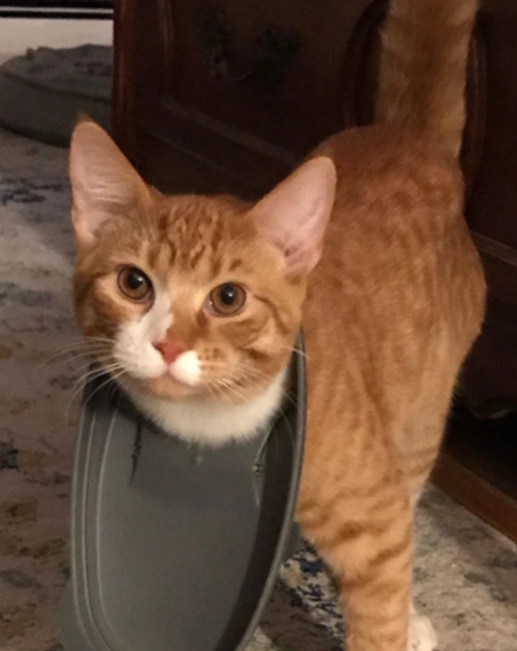 dfc8f25b868dd720ea951043b9