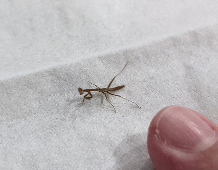 dfcdea583da2be8e497df490ca