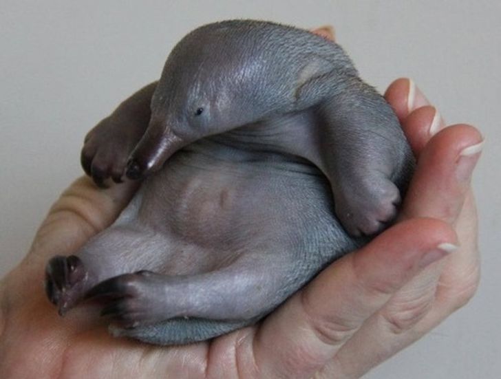 dfd394562b8a9020ac188495eb