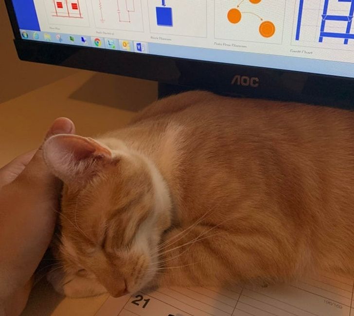 dfd6a950758787b22a3c8a4302