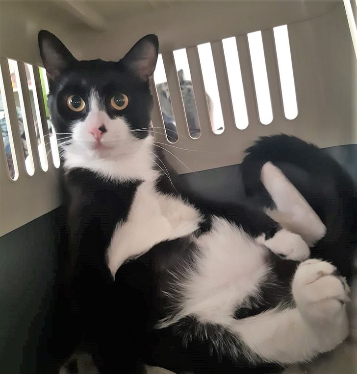 dfd9cb5d9a9925479499074399