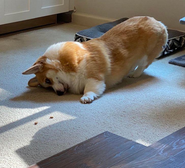 dfed74523284c8fa30f337383c