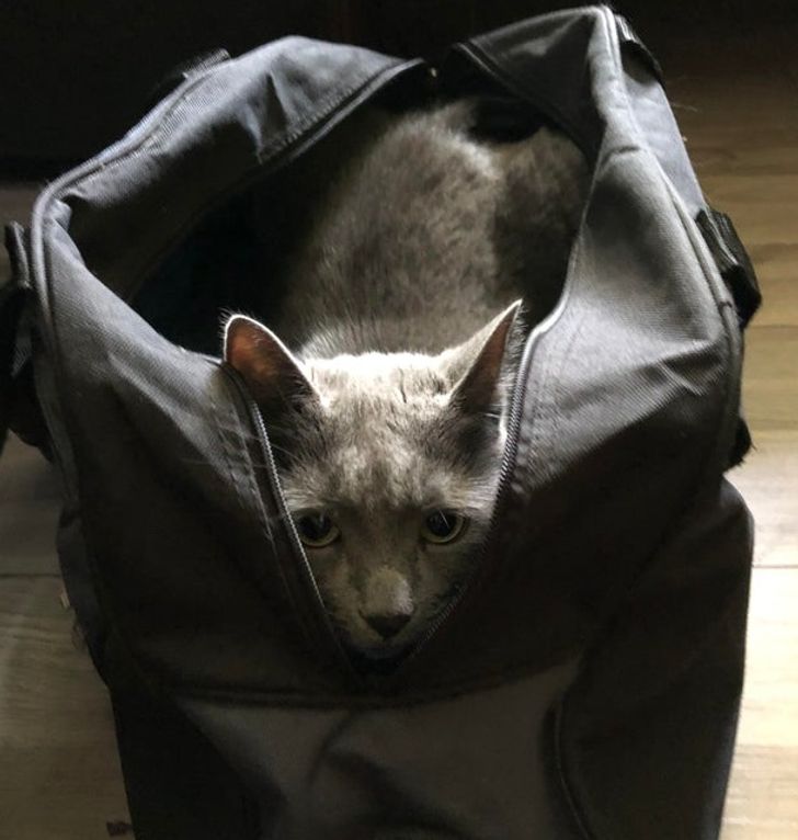 dff79d57c49e4472cc7c3a507a